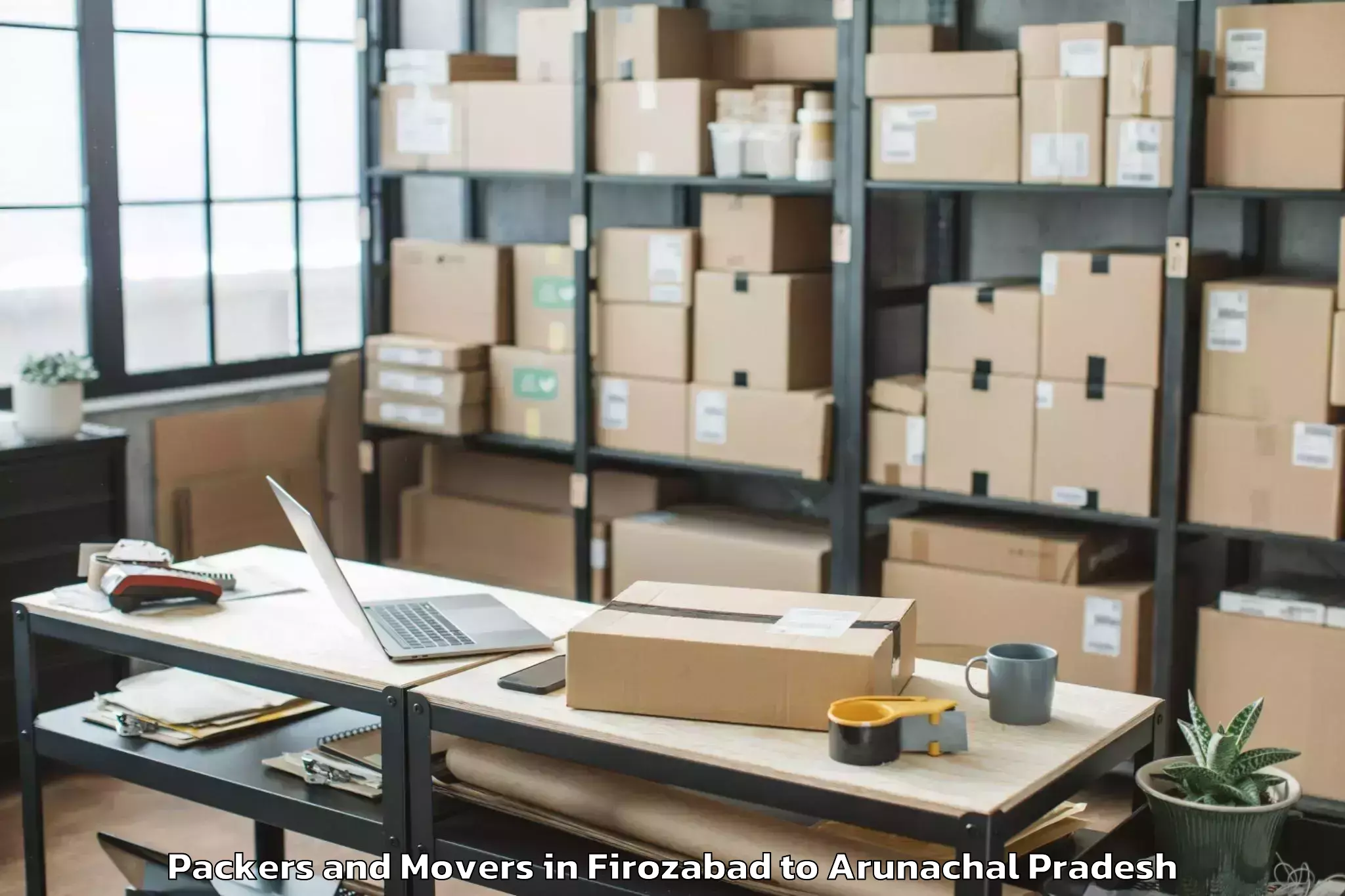 Professional Firozabad to Roing Packers And Movers